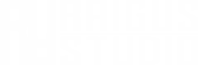 Logo de Raigus Estudio de diseño